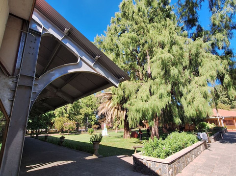 Termas de Quinamavida主图