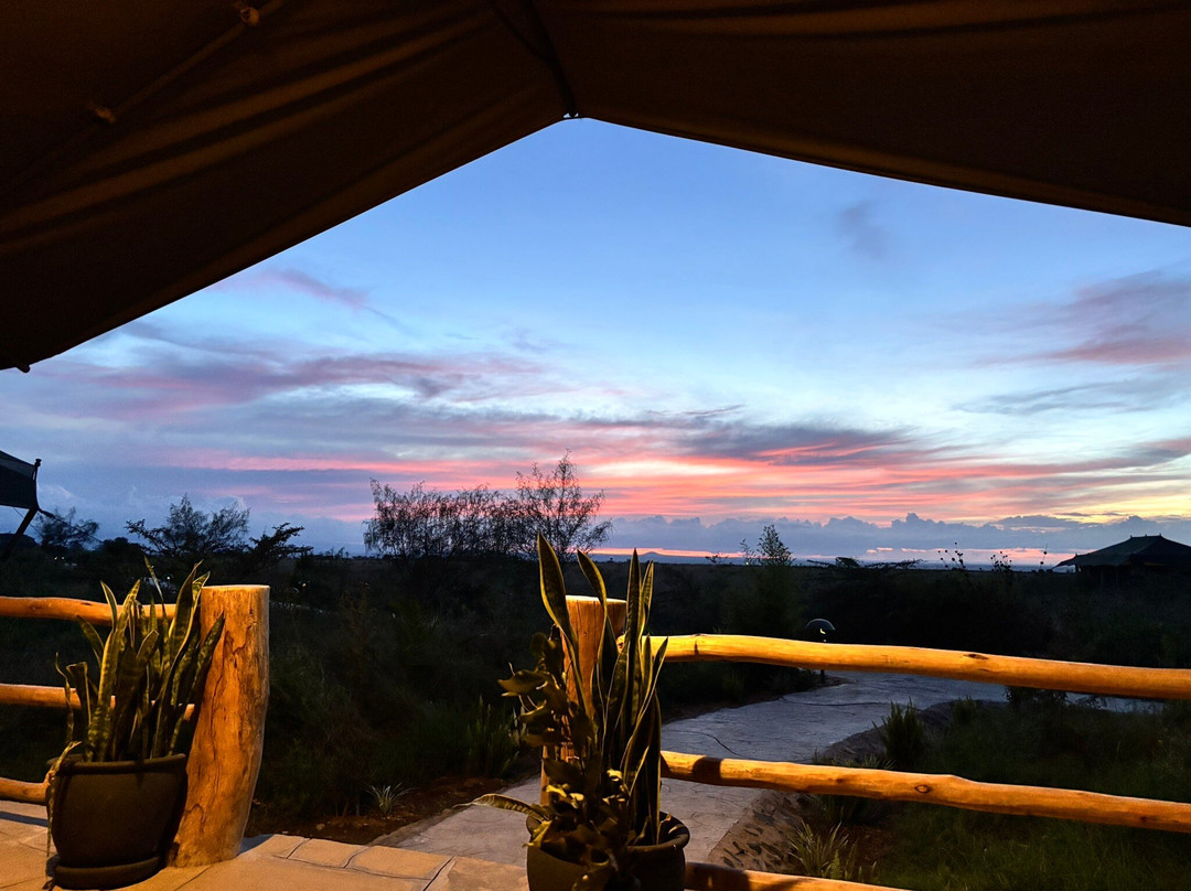 Adept Kenya Safaris-内罗毕必去景点