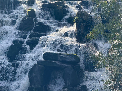 Virginia Water Café-Virginia Water必去景点