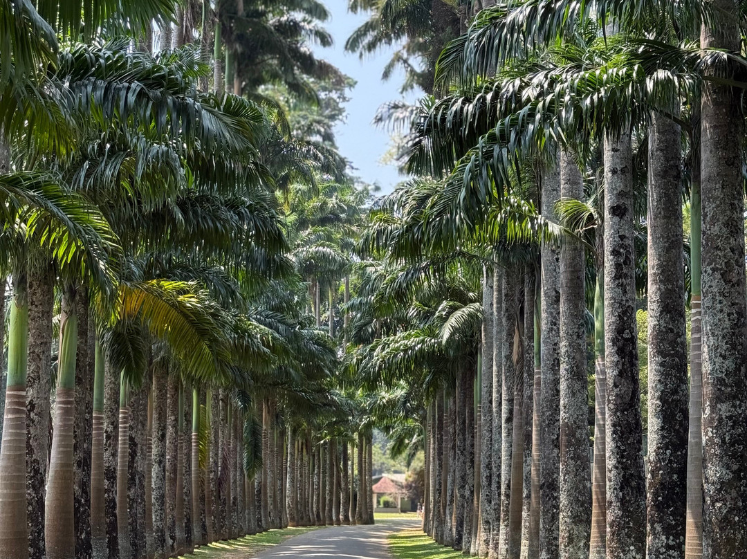 Sri Lanka Driver Guide Aruna-科伦坡必去景点
