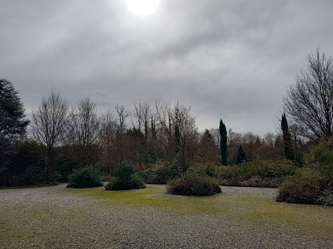 La Voliera Reale主图