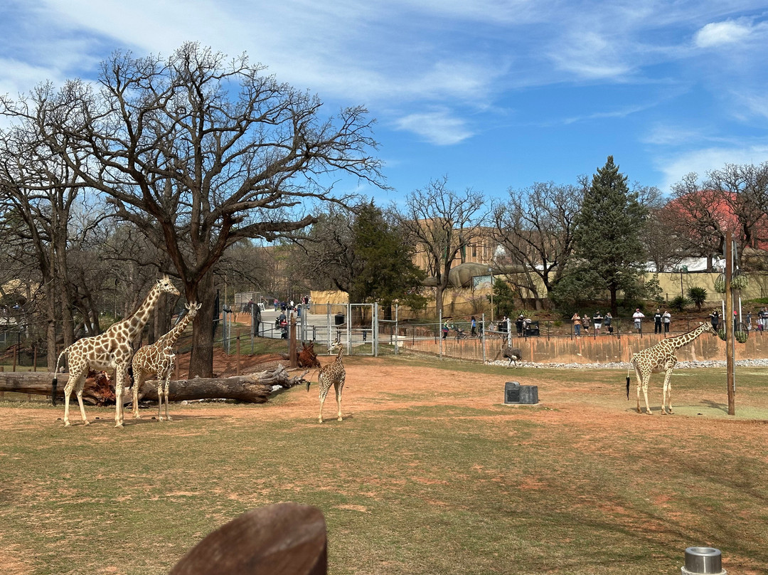 Oklahoma City Zoo and Botanical Garden-俄克拉何马城必去景点