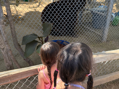 Southwest Wildlife Conservation Center-斯科茨代尔必去景点