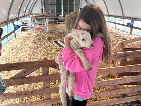 Cullen's Sheep Farm-拉腊必去景点