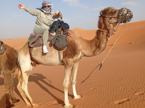 Explore Marrakech Trips-马拉喀什必去景点