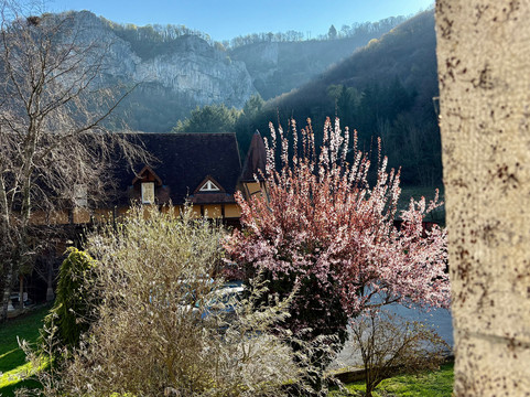 卡斯特德蒙德酒店主图