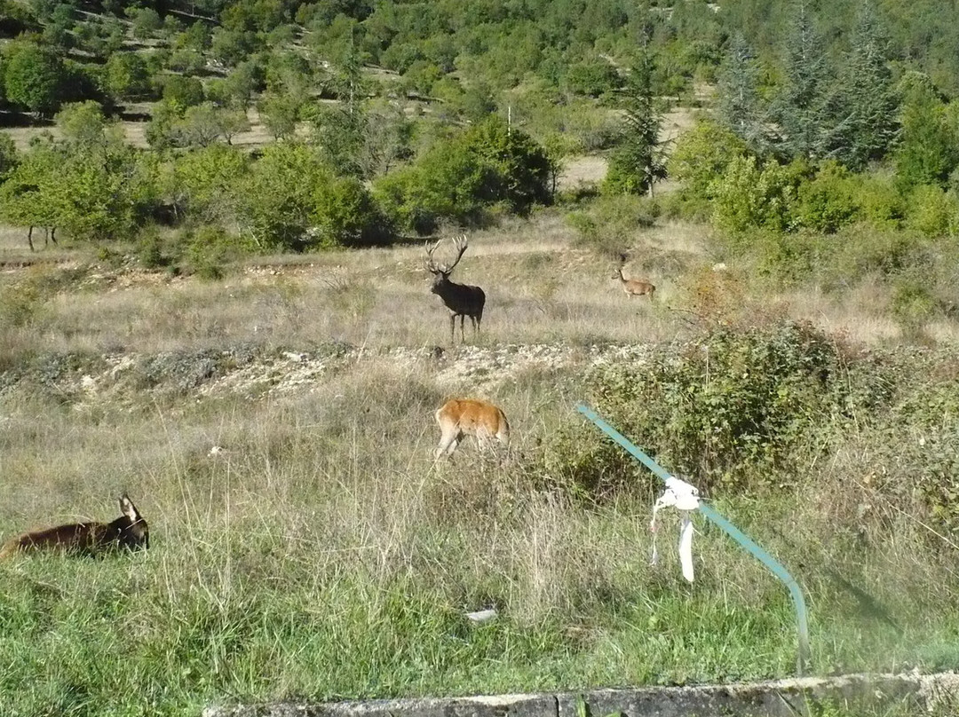 Borgo di Villalago-Villalago必去景点