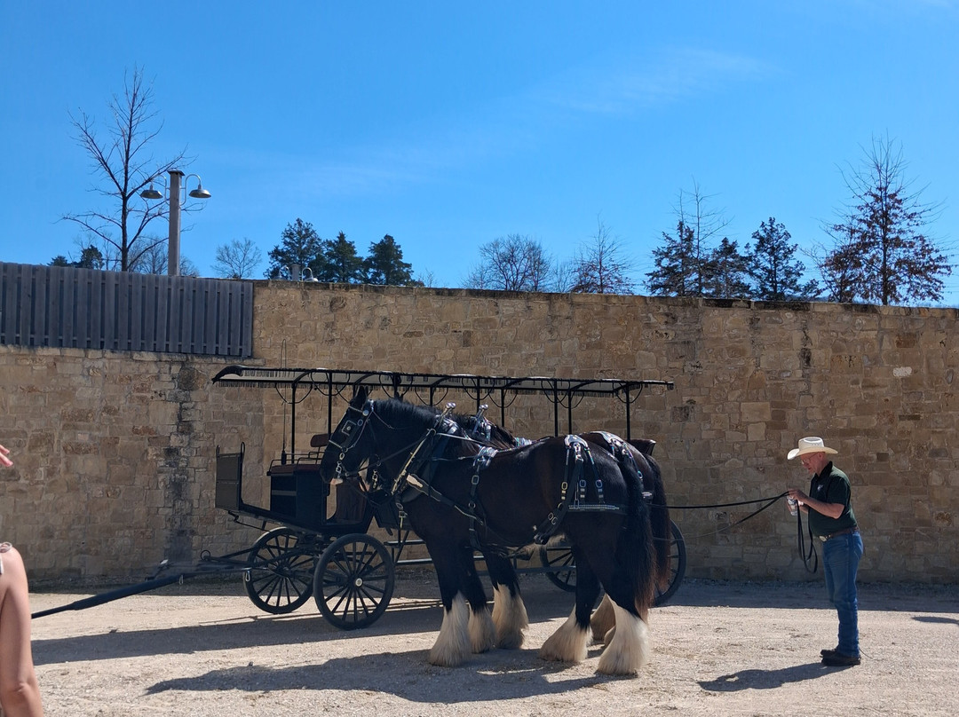 Hermann Farm-赫曼必去景点