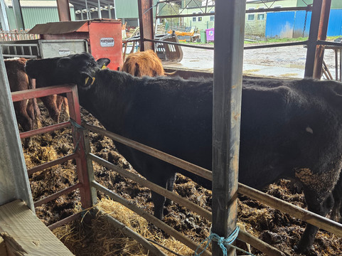 Lower Drayton Farm-Penkridge必去景点