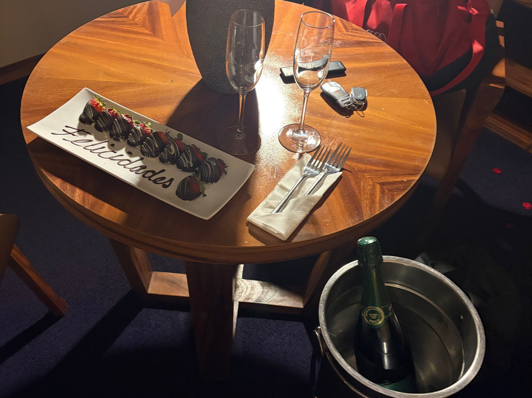 莱昂坎佩斯特雷大道凯悦尚萃酒店主图