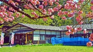 Gochi Rekishi no Sato Kaikan-上越市必去景点