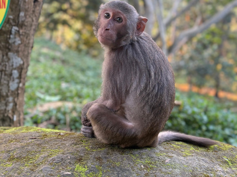 Simply Vietnam Travel-会安必去景点