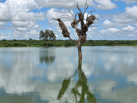 Southern Kruger Safaris-玛洛斯帕克必去景点