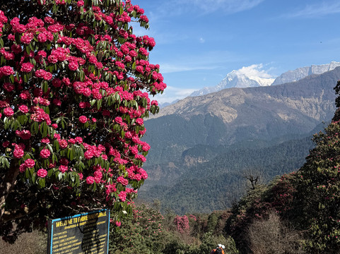 Backpacker Treks and Expedition-加德满都必去景点