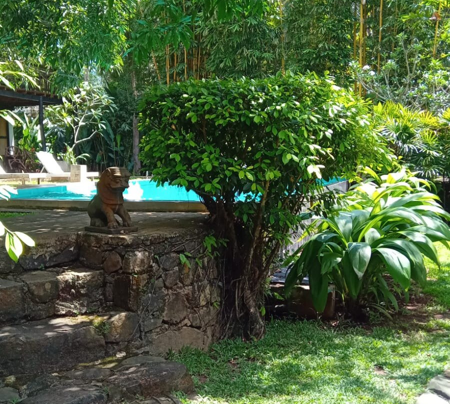 辛哈拉加森林边缘旅馆主图