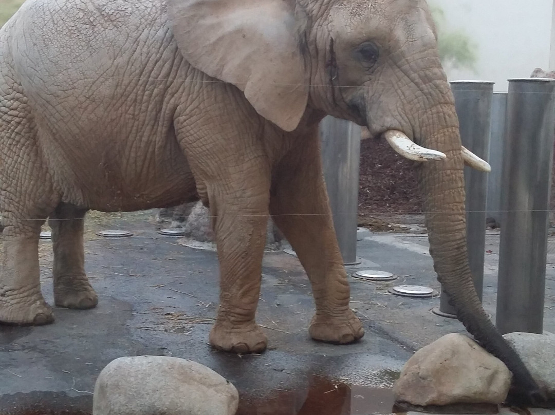 Safari Park Dvur Kralove-Dvur Kralove nad Labem必去景点