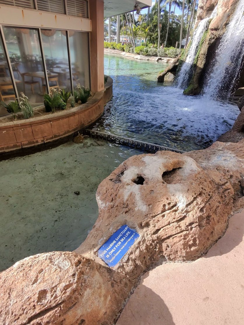 The Coral at Atlantis-酒店景观