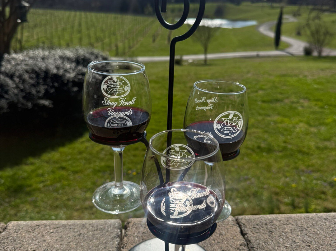 Stony Knoll Vineyards-Dobson必去景点