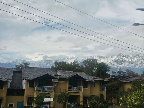 Tree of Life Birdsong Chalets主图