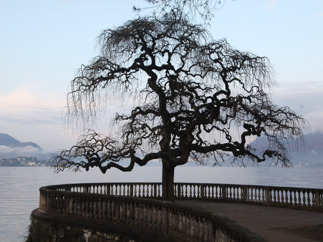 Lungolago Stresa-斯特雷萨必去景点