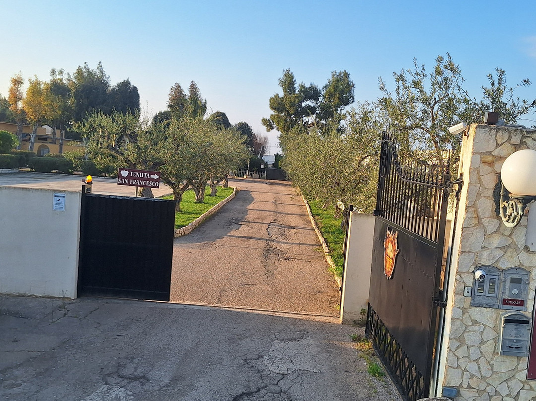 特努特圣弗朗西斯科酒店主图