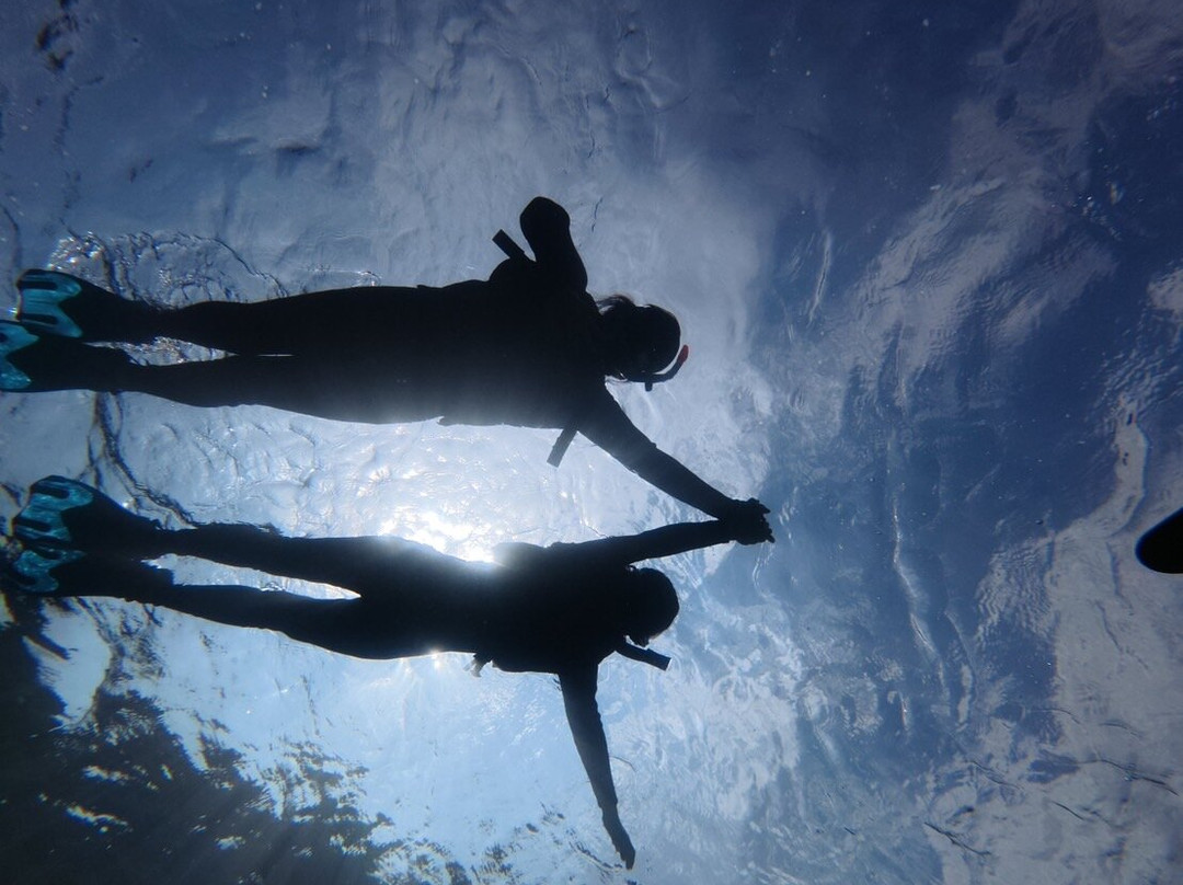 IRIOMOTE ADVENTURE PiPi-竹富町西表岛必去景点