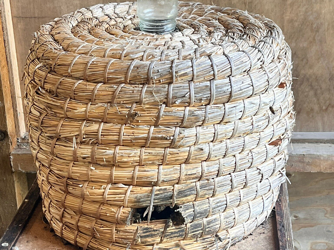 Quince Honey Farm-South Molton必去景点