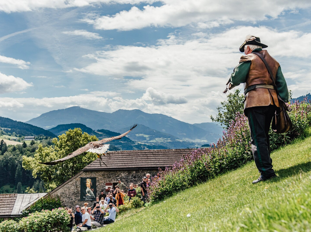 Fortress Hohenwerfen-维尔芬必去景点