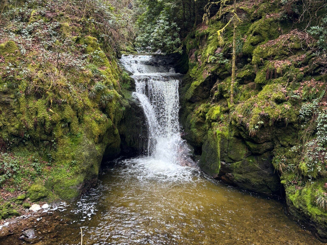Geroldsau Waterfall-巴登巴登必去景点
