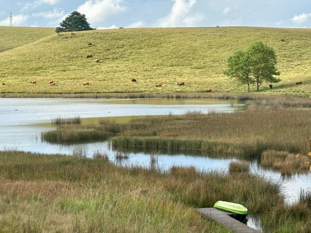 Copperleigh Trout Cottages主图