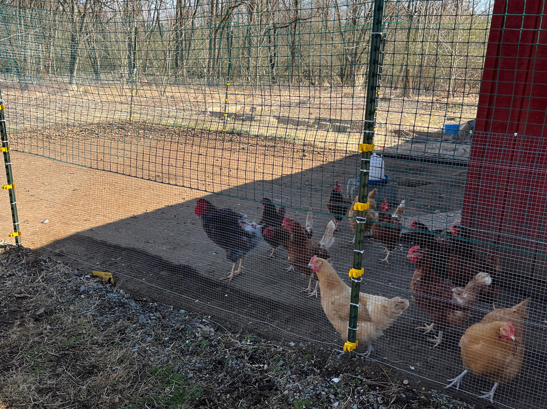 烟囱山庄园旅馆主图