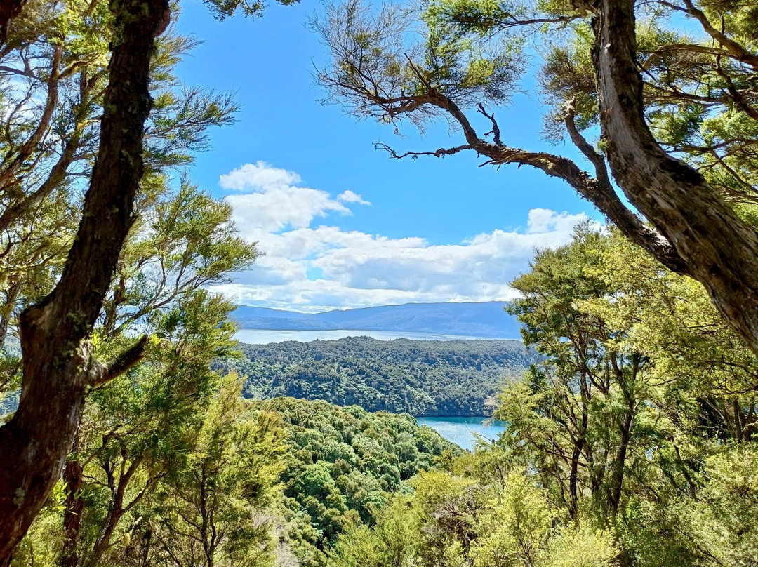 Totally Tarawera-Lake Tarawera必去景点