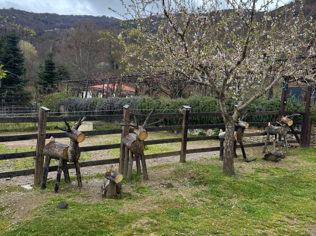 Karaiskos Farm-沃洛斯必去景点