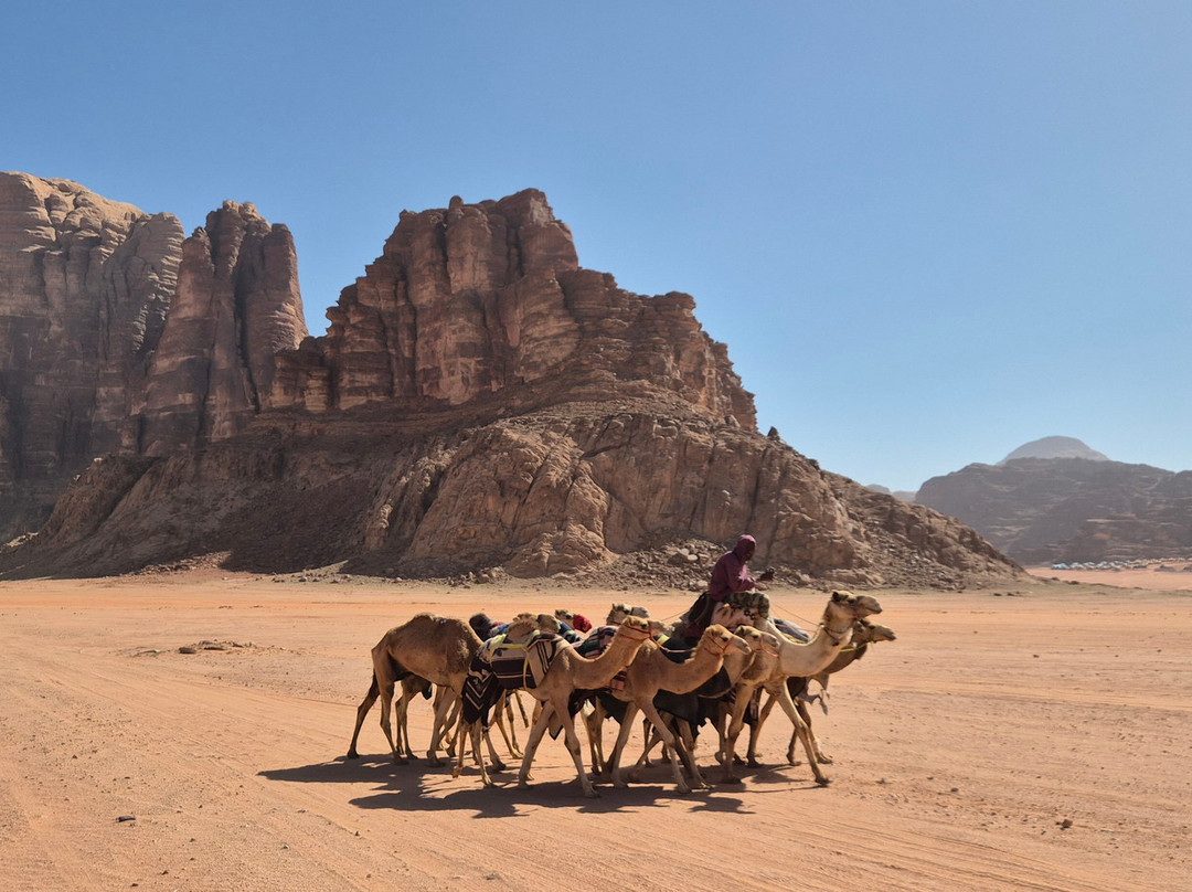 Bedouin Nights Camp-Wadi Rum Village必去景点