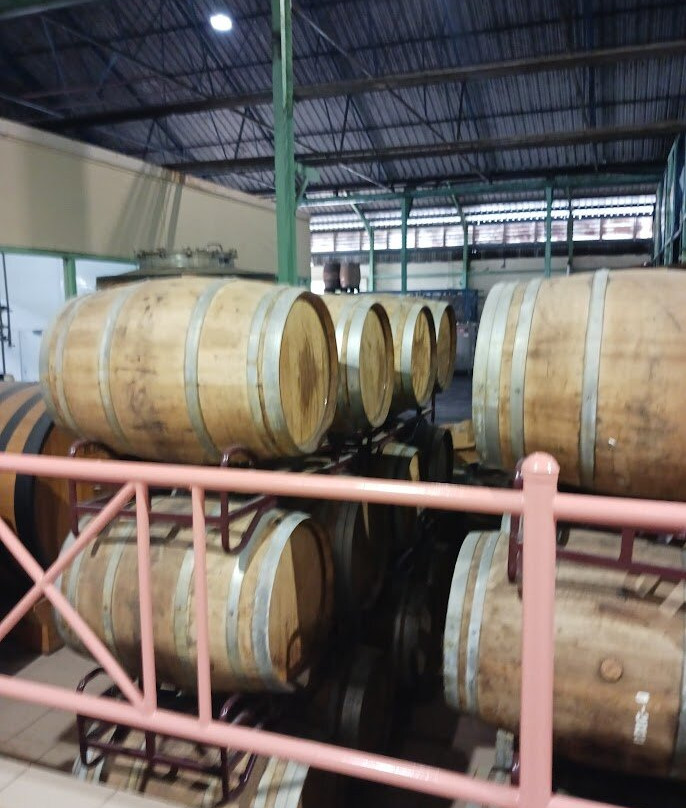 Foursquare Rum Distillery-Saint Philip Parish必去景点