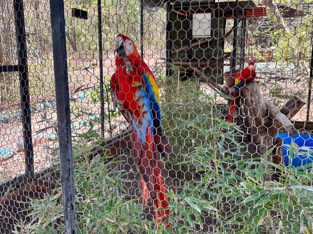 APAMI Wild Life-Portegolpe必去景点
