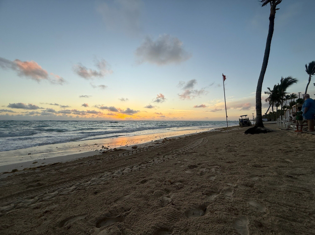Arena Gorda Beach-蓬塔卡纳必去景点