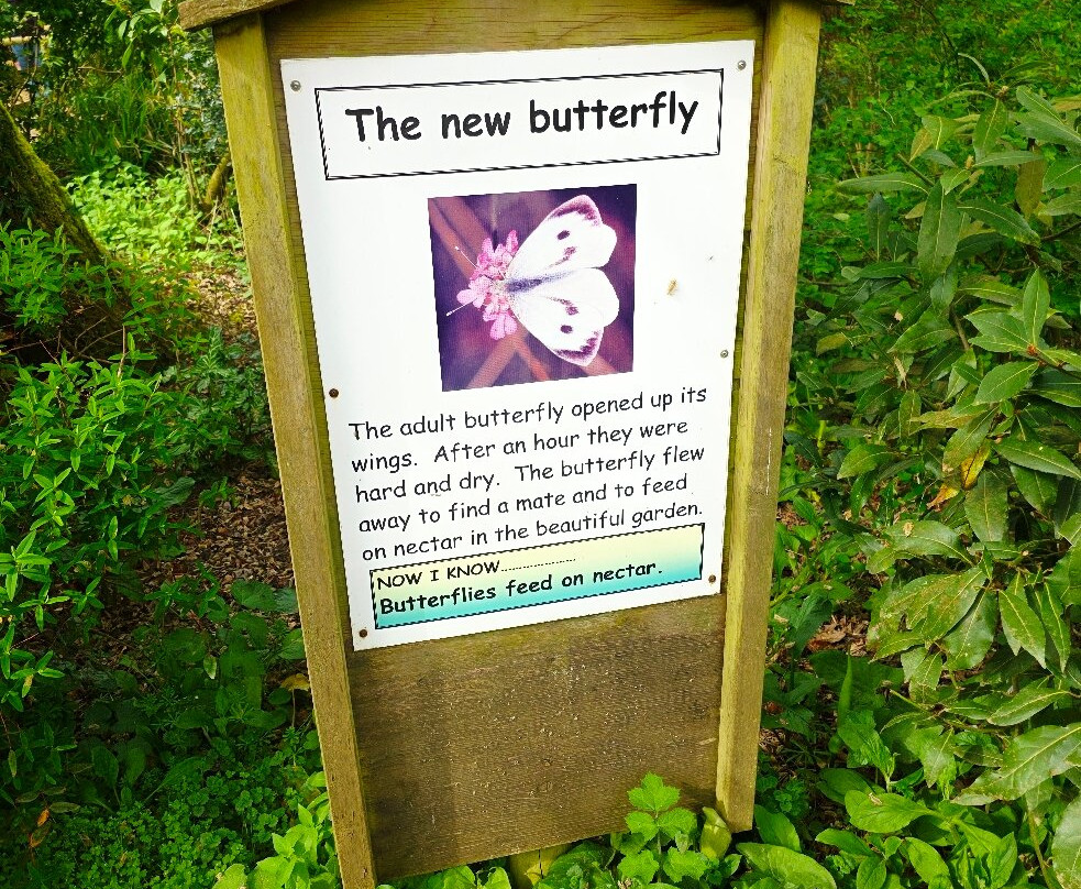 New Forest Wildlife Park-Ashurst必去景点