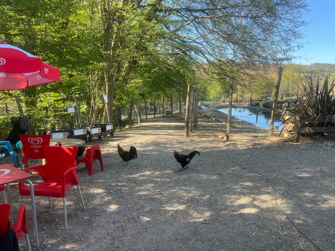 La Ferme Du Facteur Enchantée-Hauterives必去景点