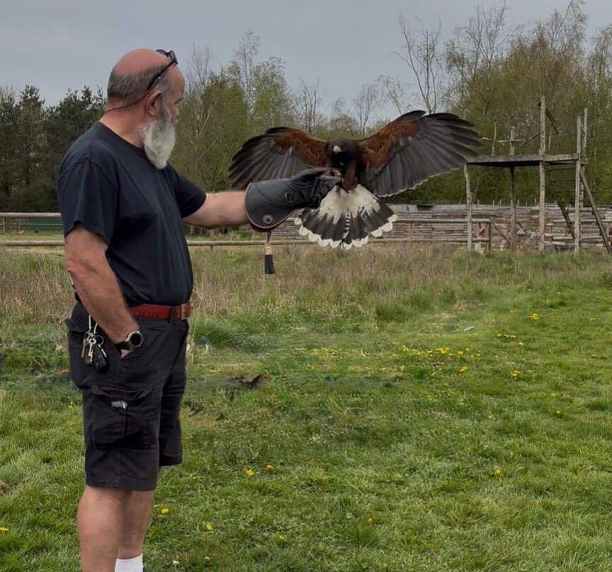 Xtreme Falconry at Dorset Falconry Park-多切斯特必去景点