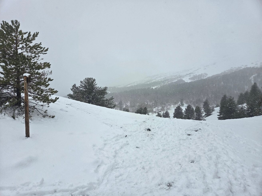 Etna Experience Excursions-卡塔尼亚必去景点