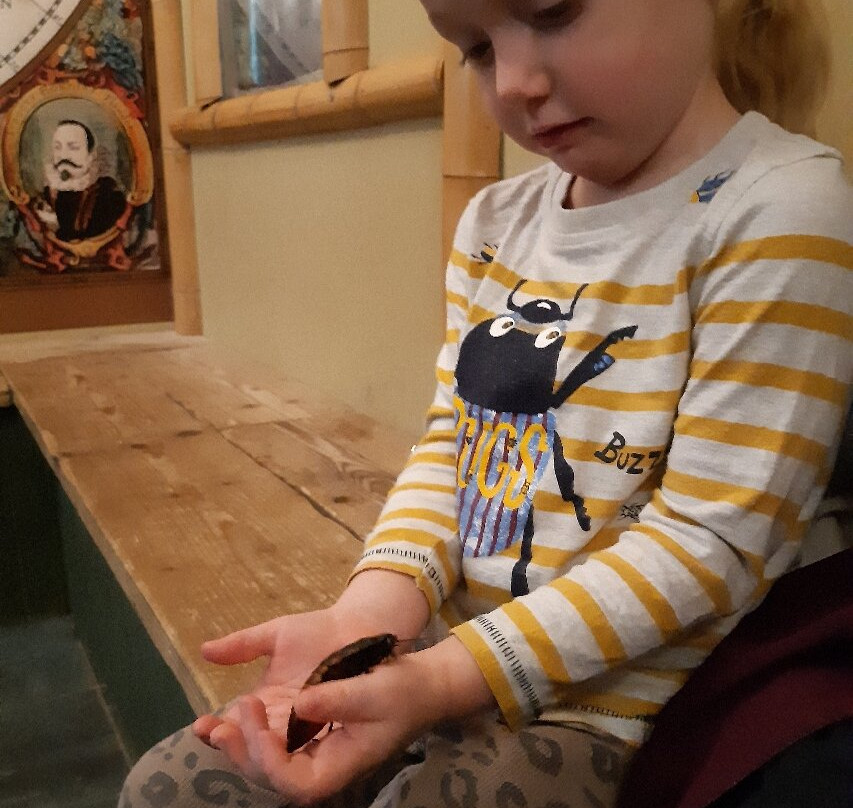 Bugtopia Hornsea Zoo-Hornsea必去景点