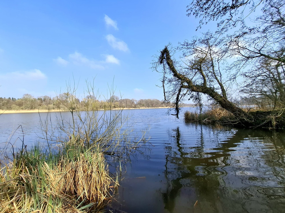 Fairhaven Woodland and Water Garden-South Walsham必去景点