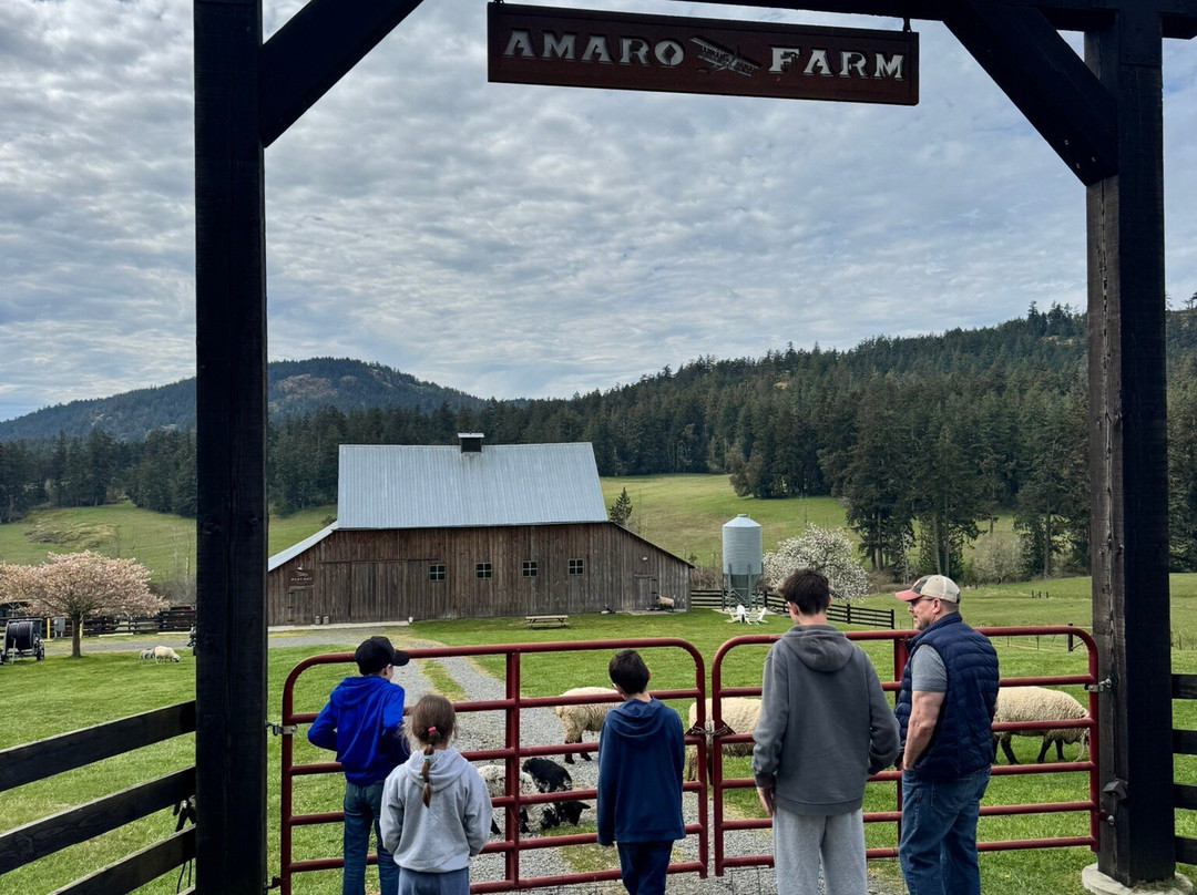 Amaro Farm-星期五港湾必去景点