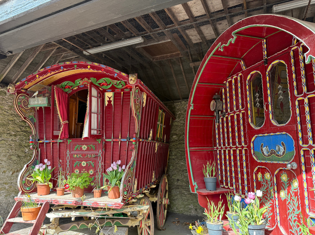 布拉尼城堡及花园-Blarney必去景点