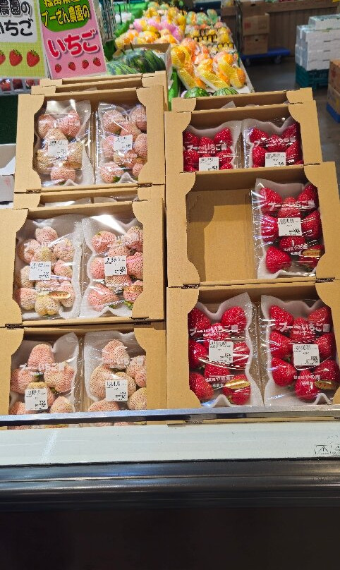 天神地下街-Tenjin必去景点