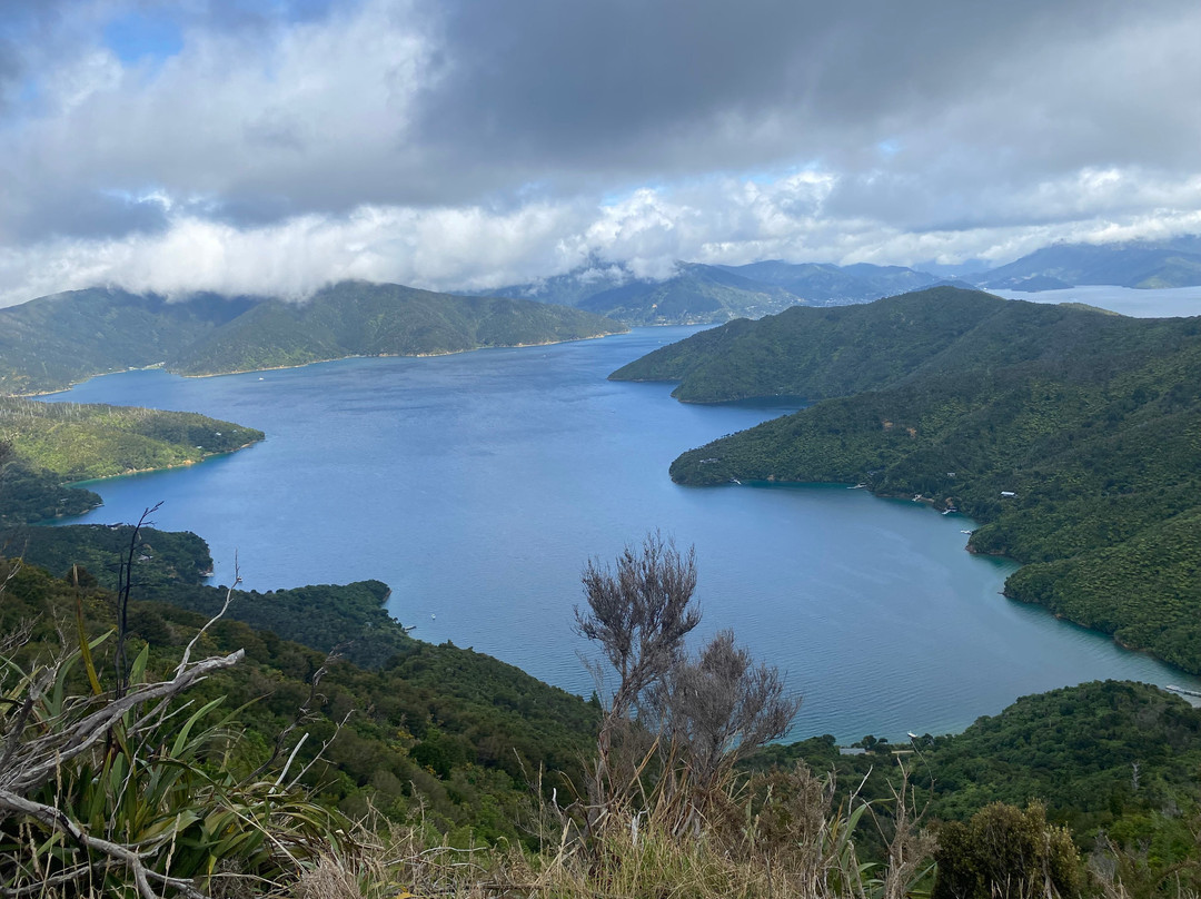 Wilderness Guides - Day Tours-皮克顿必去景点
