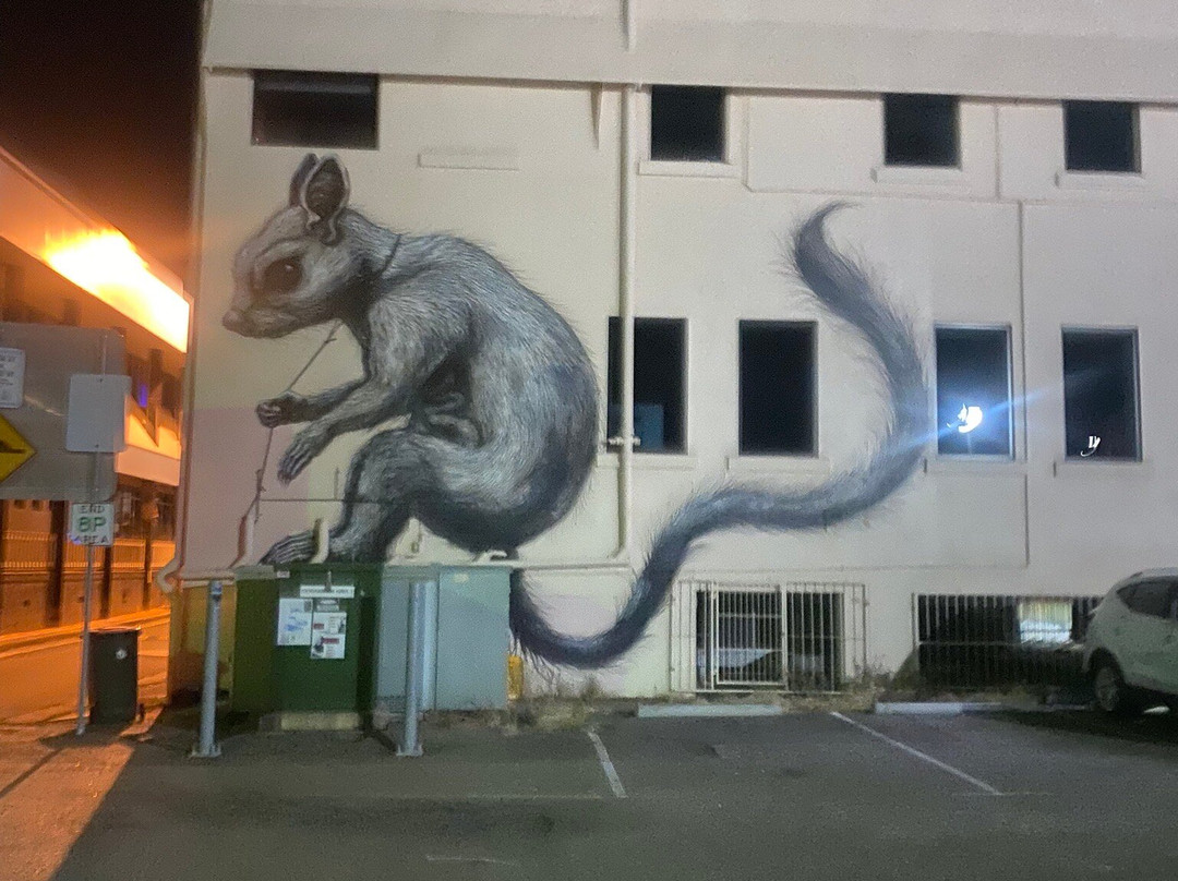 Street Art CBD Walking Trails-汤斯维尔必去景点