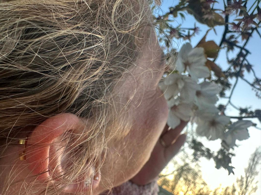 南部风景公园酒店主图