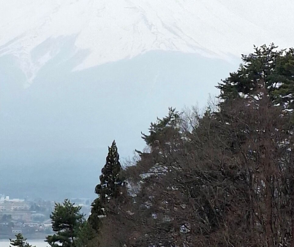 拉维斯塔富士河口湖度假村主图